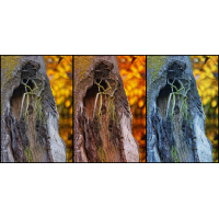Triptychon---Kopie.jpg (Gabi Buschmann)