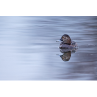 2G6A2490_DxO-s-1.jpg (Benjamin)