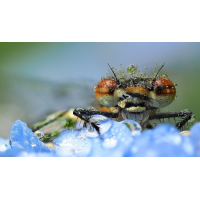 20260118_105546.jpg (Orion59)