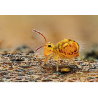 der Beweis
(rincewind) ks02-1.jpg (rincewind)