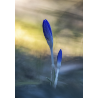 Klandschaft01.jpg (rincewind)