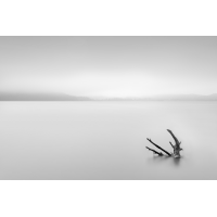 IMGL6207sw.jpg (Christian Zieg)