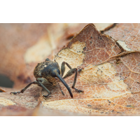 MIR-20240331-3310753-2-0785-2-ZS-PMax-retouched-Bearbeitet-Kopie.jpg (mischl)