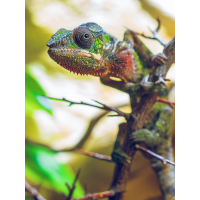 _A316674-Kopie.jpg (Benjamin Tull)