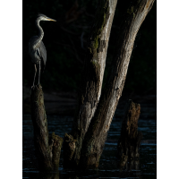 W/,
(Benjamin Tull) _5244426-Kopie.jpg (Benjamin Tull)