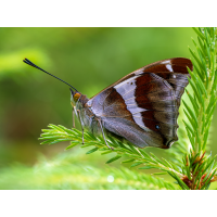 _7011113-Kopie.jpg (Benjamin Tull)