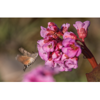Im Zeichen des Klimawandels
(Kurt s.) _MG_7164.jpg (Kurt s.)