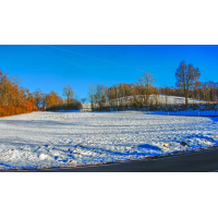 20241229-P1048546-RW2.jpg (Erich)