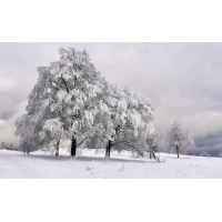 20190107-2019.jpg (Erich)