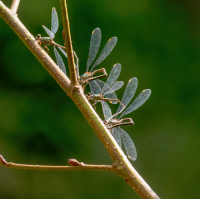 20250929-P1058757-RW2-DxO_DeepPRIME-DeNoiseAI-raw.jpg (Erich)