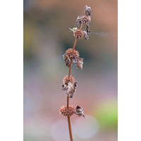 20251114-2025-.jpg (Erich)