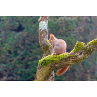 DSC_0004-NEF_DxO_DeepPRIME.JPG (Erich)