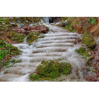 P1059985-.JPG (Erich)