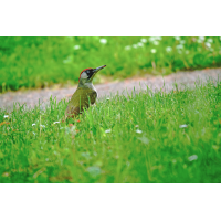 P1052791-RW2_DxO_DeepPRIME.JPG (Erich)