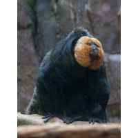 P1032266-RW2_.JPG (Erich)