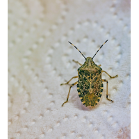 Frech
(Erich) 2018-08-23 16-44-46 (C).JPG (Erich)