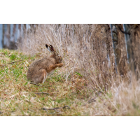 P1070864-.JPG (Erich)