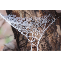 IMG_4647_B.minimal-.jpg (Harmonie)