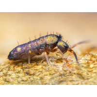 2025-11-09-17-48-33-(C,S4)56-Bearbeitet-Bearbeitet-Kopie-Kopie.jpg (Enrico)