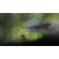 IMG_0718_pano_rs.JPG (jo_ru)