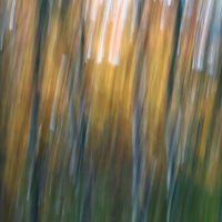 IMG_6830_qrhkl.JPG (jo_ru)