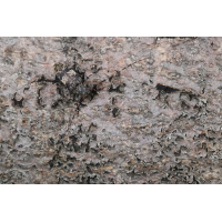 "Suchbild"
(jo_ru) IMG_4422_15prs_bq8.JPG (jo_ru)