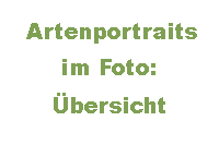 Fotouebersicht1.gif (Artengalerie)