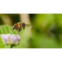 8W5A8259_DxO.jpg (Steffen123)