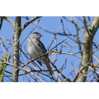 DN4A0537_DxOklein_DxO.jpg (Steffen123)