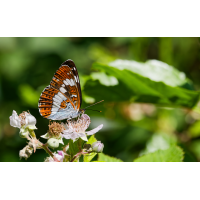 DN4A3998_DxO-klein.jpg (Steffen123)