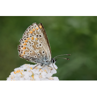 DN4A4546_DxO_DxOklein.jpg (Steffen123)