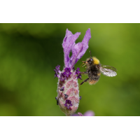 3C3A5272_DxO klein.jpg (Steffen123)